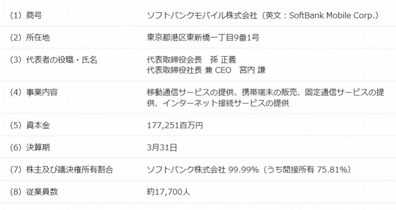 新会社の概要