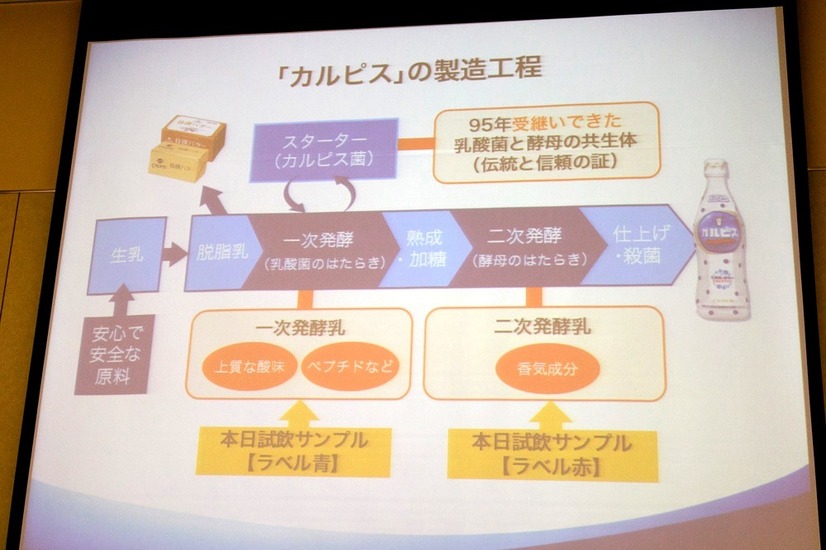 カルピスの製造工程