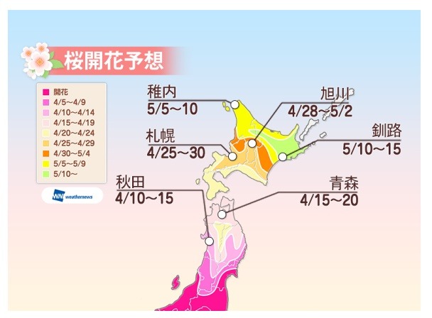 桜開花予想（4月8日時点）