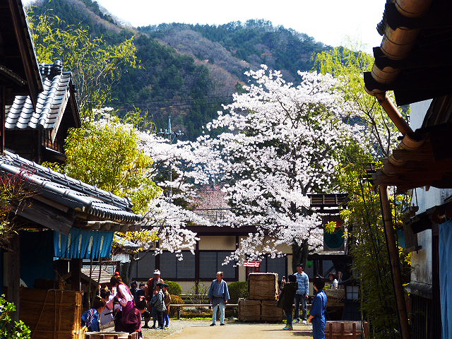 江戸ワンダーランド（Photo：大野雅人）