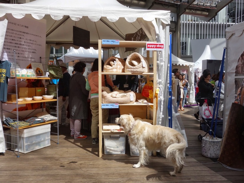「エレdogショー」会場