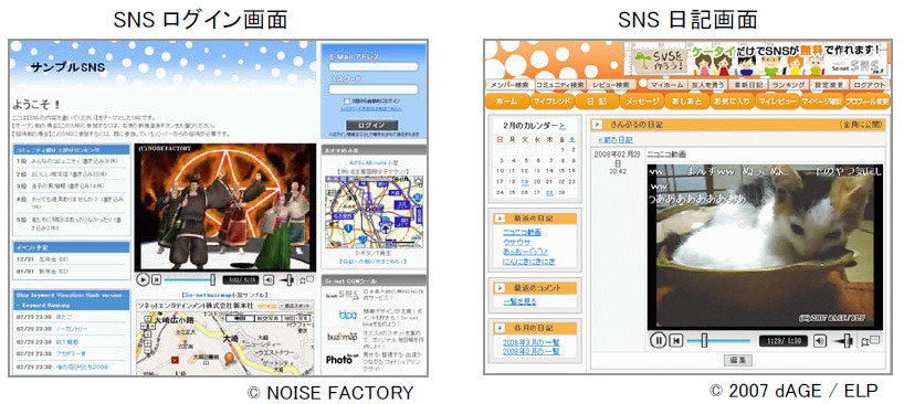 参考画像　【左】SNS ログイン画面　【右】SNS 日記画面