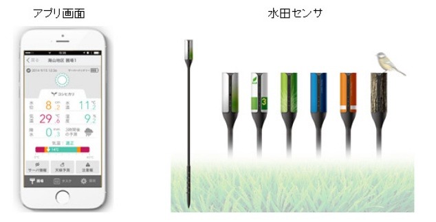 実際の導入イメージ