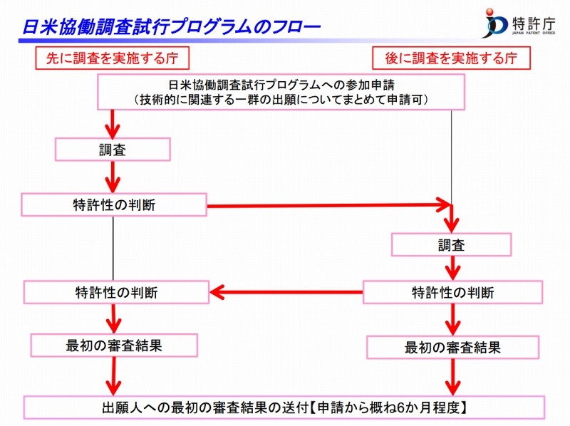 日米協働調査（試行プログラム）の流れ