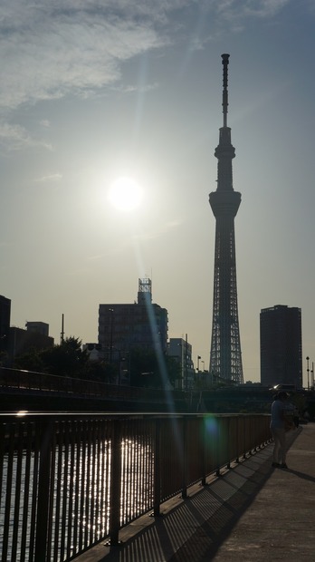 2014年5月撮影：北十間川河畔からみたスカイツリー