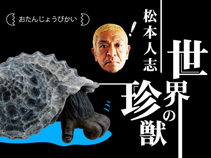ガチャ「松本人志 世界の珍獣 第1弾」がリニューアルでAR技術を採用