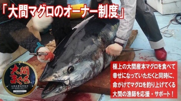 「大間マグロのオーナー制度」は漁師を応援・サポートする制度でもある