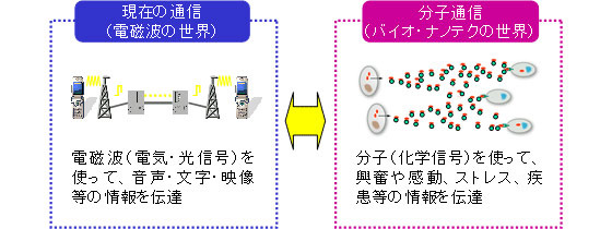 分子通信技術のイメージ