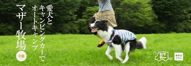 房総半島で愛犬と楽しい体験が楽しめるおでかけプラン「おでか犬」