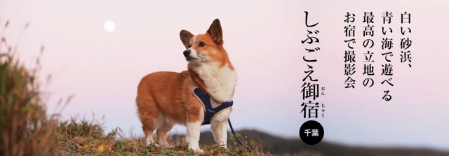 房総半島で愛犬と楽しい体験が楽しめるおでかけプラン「おでか犬」