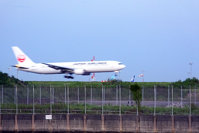 京浜島つばさ公園から羽田空港B滑走路へ着陸する旅客機を見る