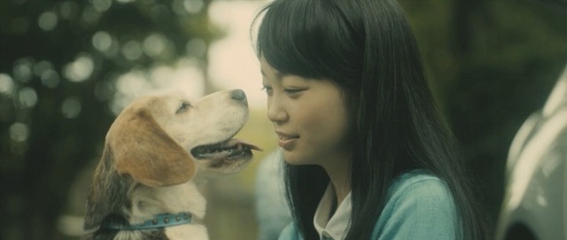 トヨタドッグサークルウェブ限定動画「Smile Again」