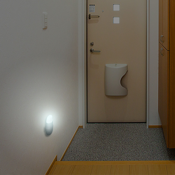 「感震ライト」の設置イメージ。例えば玄関の近くに設置しておけば、出口を示す誘導灯として使える（画像は公式Webサイトより）
