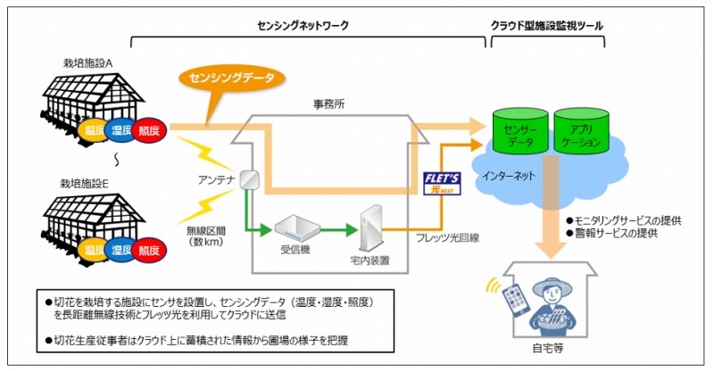 トライアルイメージ