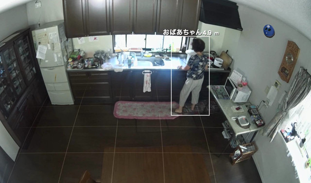 防犯だけでなく高齢者や子供の見守りにも活用できる。AIにより将来的にはカメラに写った物や人、物体の名称を学習・識別することが可能になる（画像はプレスリリースより）