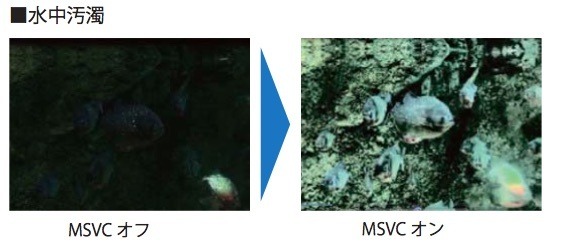 汚濁している水中の撮影映像。画像鮮明化機能をオフ（左）からオン（右）にするだけで濁った水の中も鮮明に映し出すことができる（画像はプレスリリースより）