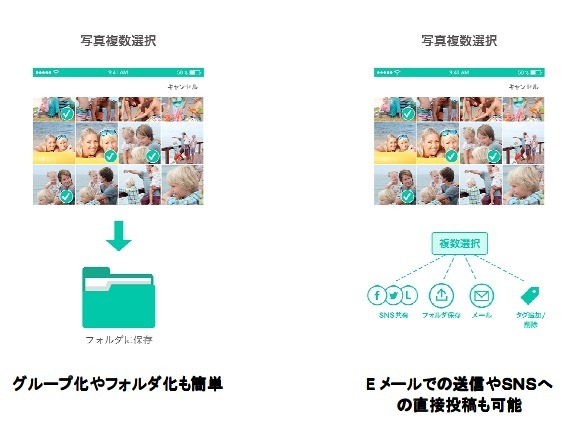 特徴