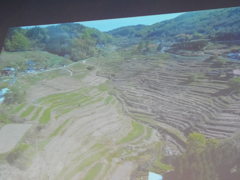 岡山県美作市上山の風景。美しい棚田が広がる、日本の原風景