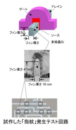 「ICの指紋」の利用イメージ