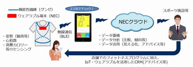 システムの概要