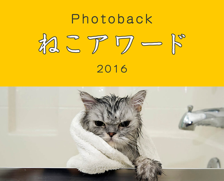 Photoback　ねこアワード　 2016