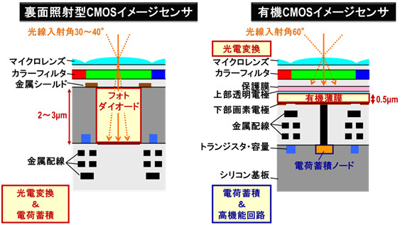 有機CMOSイメージセンサでは光電変換を有機薄膜で、信号電荷の蓄積は下層の回路部で行うので、入射光線範囲の拡大やレンズの設計自由度向上などのメリットがある（画像はプレスリリースより）