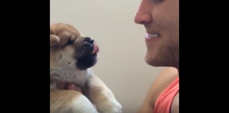飼い主を舐め返したい子犬！でも…