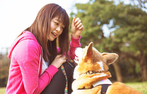 愛犬の本当の気持ちがわかる!?　犬用ウェアラブル