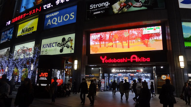 ヨドバシカメラ・マルチメディアAkiba店