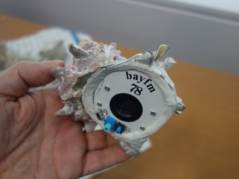 bayfmが本物のサザエでラジオを作っちゃったワケは？