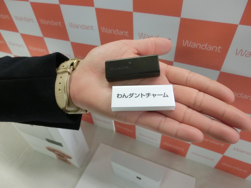 前モデルより5g軽量化されたわんダントチャーム。一回の充電で大体4～7日使える
