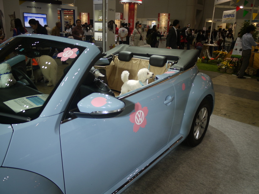 デコレーションされた「The Beetle Cabriolet」で（フォルクスワーゲン。2015年）