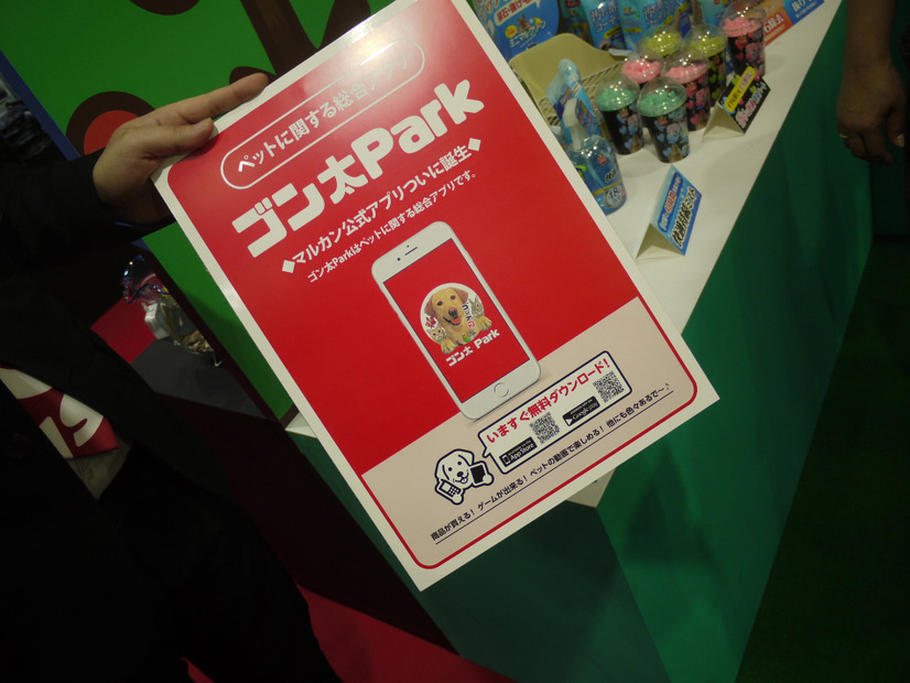 【Interpets 2016 Vol.17】マルカンブースはお祭り感覚！ゴン太もやってくる