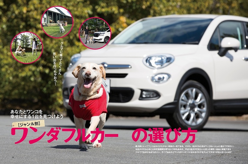 交通タイムス『愛犬と乗るクルマ』