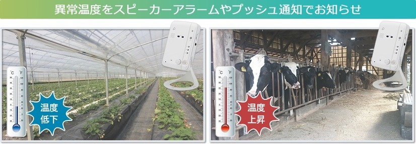 カメラ周辺温度測定センサーは、ビニールハウスや牛舎など畜舎の温度管理といった遠隔管理のサポートや業務効率化を可能にする（画像はプレスリリースより）