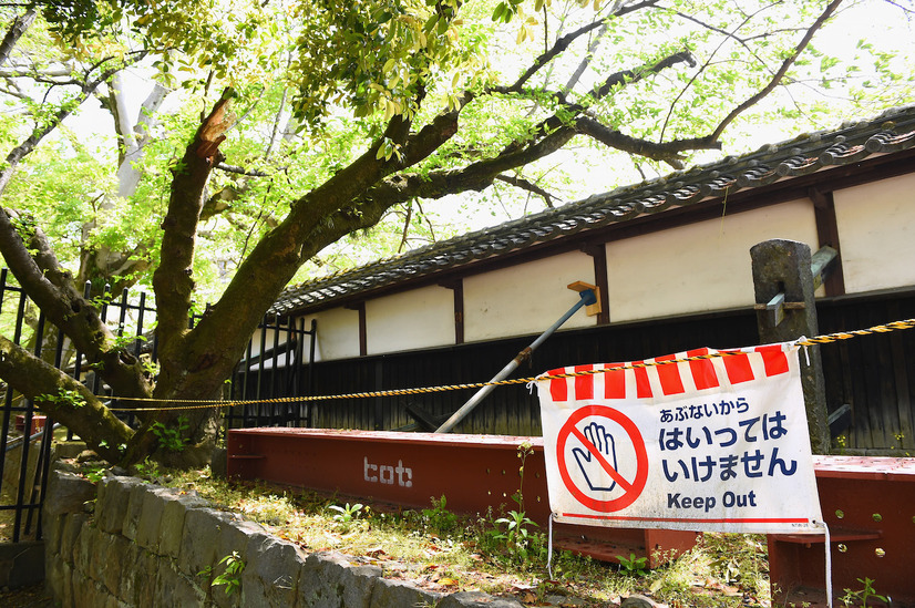 石垣が崩れるなど、地震による被害が出ている熊本城 (C)GettyImages