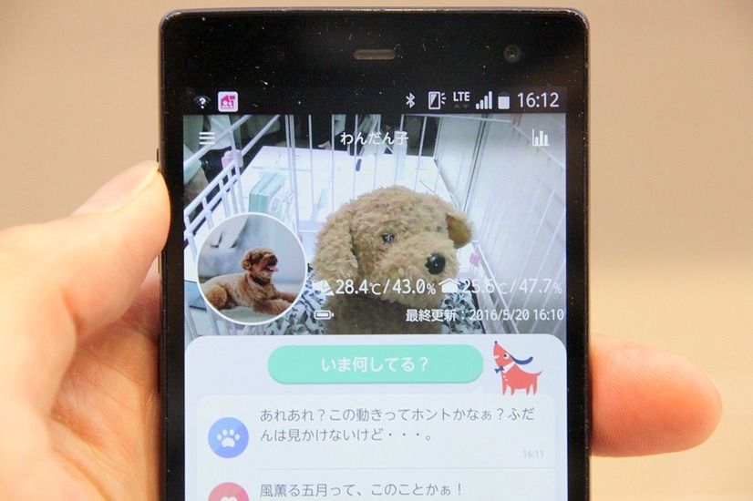 遠くにいながらにして、愛犬の「いま」が手許のスマートフォンで分かる