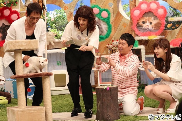 『SMAP×SMAP』プレゼンツ「やっぱり猫が好きすぎて…」～芸能人ねこ自慢グランプリ～