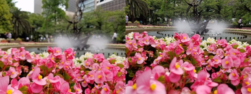 デュアルピクセルを試す。公園においてフォーカスの位置を変えて撮影した(絞り値 f/1.7、大きさ4032×3024ピクセル、露出時間 左写真：1/1068秒、右写真：1/1100秒)