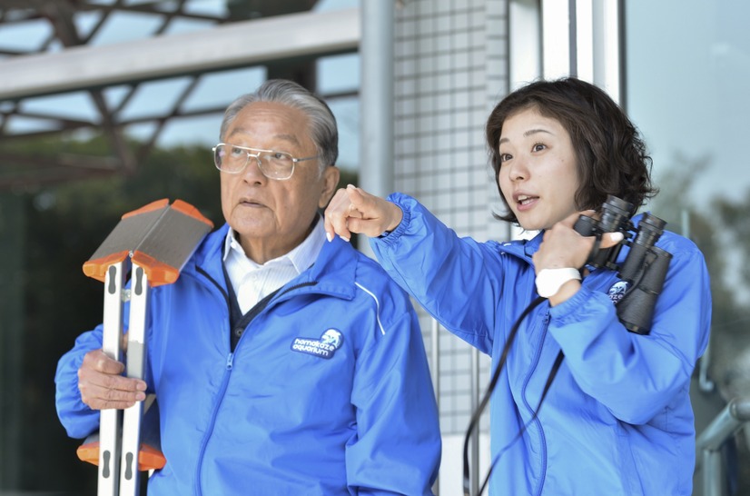 NHK「水族館ガール」　＜写真提供　NHK＞