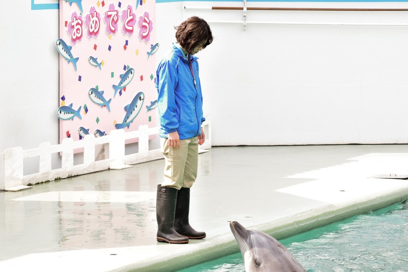 松岡茉優が飼育員に Nhk 水族館ガール 今夜スタート 9枚目の写真 画像 Rbb Today