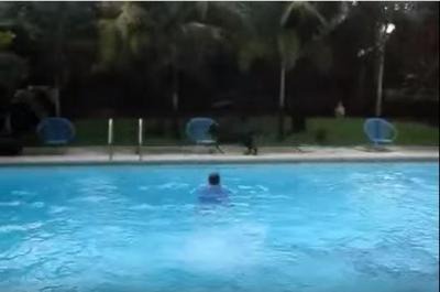 【動画】プールへ突き落とすのが大好きな犬
