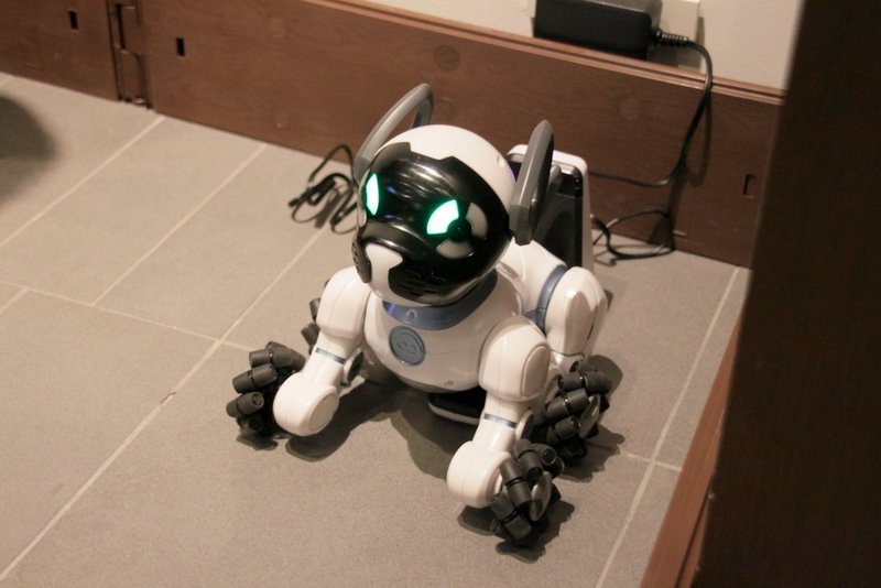 製品には本体と連携するバンドやボールが付属。バッテリーパワーが低くなると、自分でスマートベッドに戻って充電する