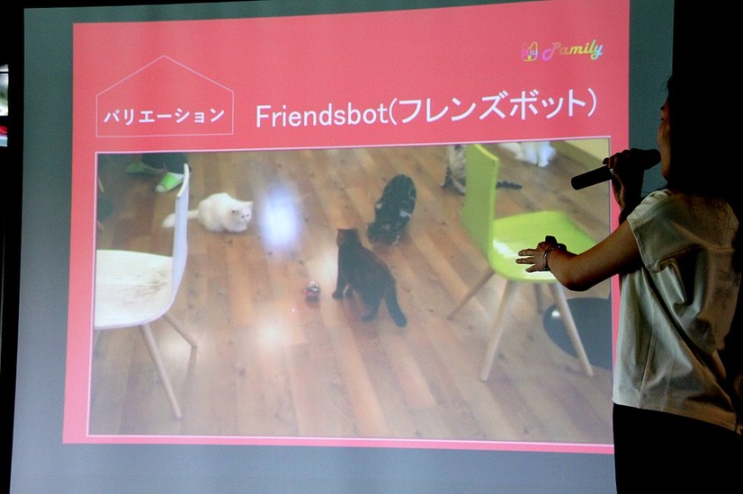 猫用のFriendsbotで猫たちが遊ぶ様子