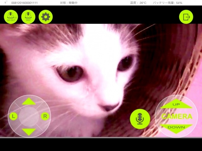 アプリで遠隔操作！360度移動可能なカメラ「ilbo」でペットをチェック！