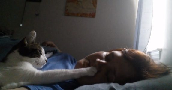 【動画】「お腹すいた」ご主人にアピールする猫