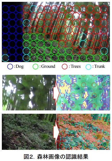 森林環境で活動訓練をしているサイバー救助犬にカメラを搭載した際の森林画像の認識結果。画面では、犬、地面、木々、木の幹などを種別ごとにグリッド表示している（画像はプレスリリースより）