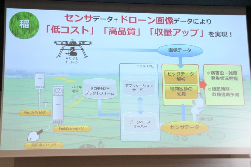 水稲の病害虫の発生状況の監視や、収穫時期の予測を目的にドローンを活用し、米の品質向上・収穫量増加に取り組む