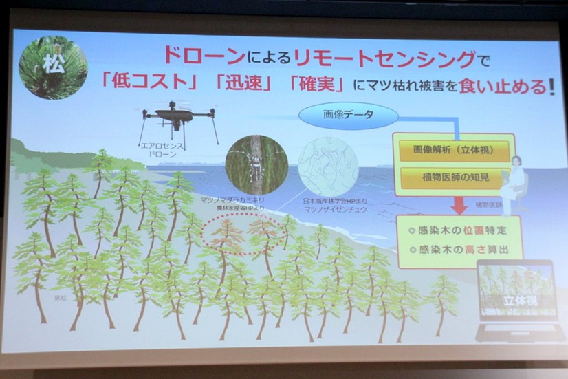 海岸保安林のマツ枯れ対策および維持管理の手法開発を目的にドローンを活用し、伐倒駆除の効率化とマツ枯れ被害の防止に取り組む