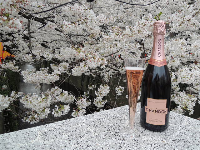 「シャンドンロゼ」のお花見イベント「お花見 CHANDON 目黒川」